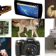Image for article titled The Most Popular Everything on the Internet